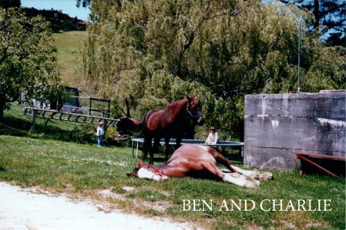 Ben and Charlie