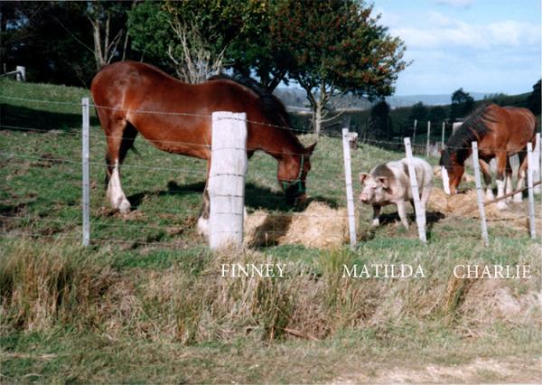 Finney, Matilda and Charlie