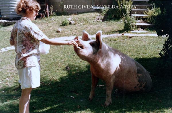 Ruth giving Matilda a treat